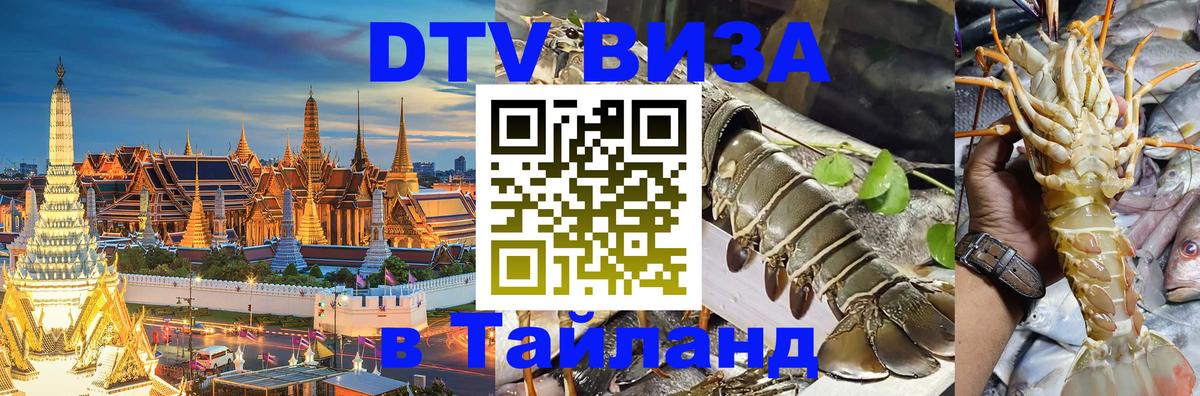 Сколько стоит DTV виза — актуальные цены, оформление даже без документов - 21.11.2025 